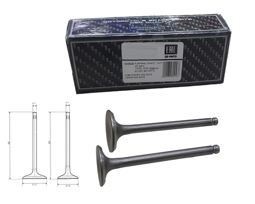 Клапаны (компл. 2шт) 4T двиг. TTR125, YX125 стандартные d=20/23  SM-PARTS 020096-004-6225
