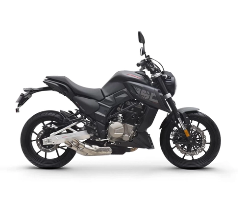 Мотоцикл Regulmoto ALIEN MONSTER 300 