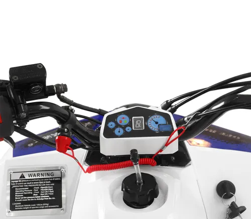 Квадроцикл Yacota Raposa 110