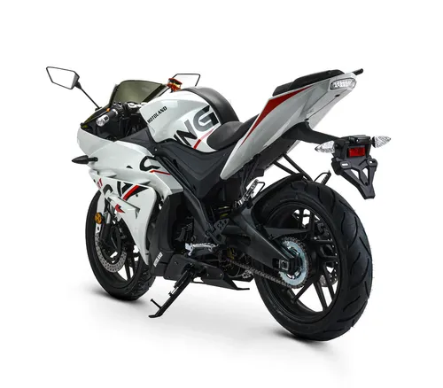 Мотоцикл Motoland R1 300
