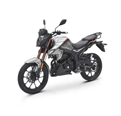 Мотоцикл Regulmoto Majesty