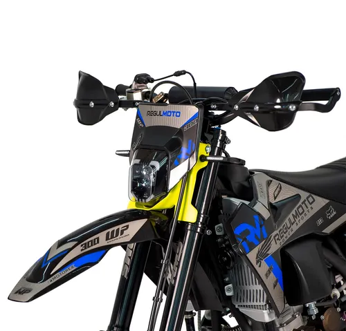 Мотоцикл Regulmoto LEGEND 300
