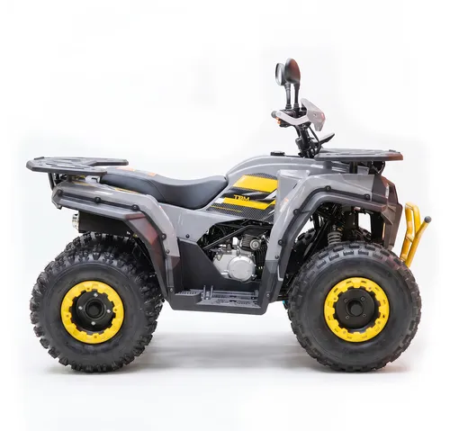 Квадроцикл TBM Thunder 150