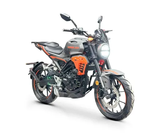 Мотоцикл Regulmoto Nibbler 300 4V