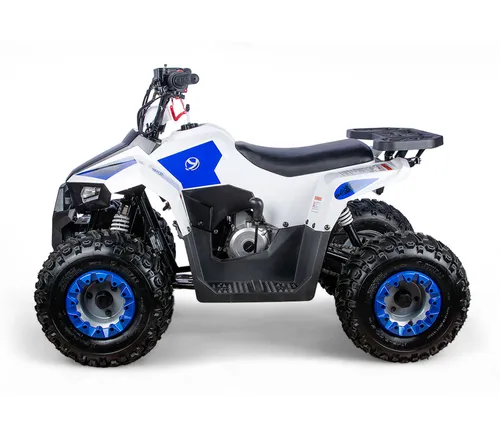 Квадроцикл Yacota Raposa 110