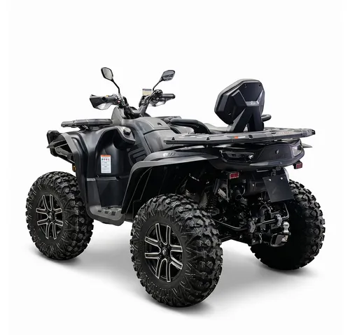 Снегоболотоход Segway AT10 W Standart 