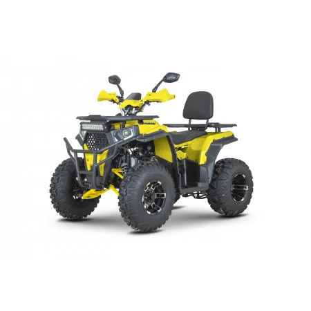 Квадроцикл Dazzle ATV200 New без ПСМ