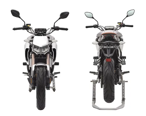 Мотоцикл Regulmoto ALIEN MONSTER 300 