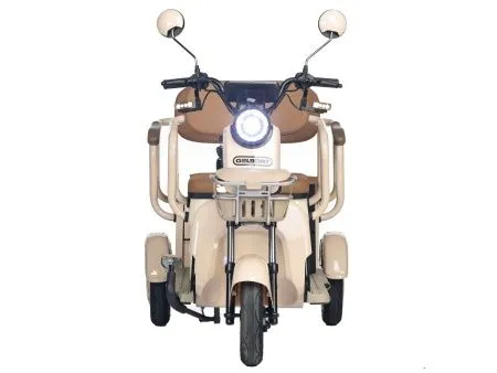 Трицикл электрический Gelbert Atlas 48V/60V 600Вт