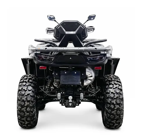 Снегоболотоход Segway AT10 W Standart 